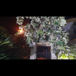 Meet your Posher, Luisa